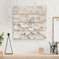 Bilderwelten Holzbild Plankenoptik Blumen - Quadrat Kaktus Sukkulente