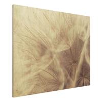 Bilderwelten Holzbild Blumen - Querformat 4:3 Detailreiche Pusteblumen Makroaufnahme mit Vintage Blur Effekt