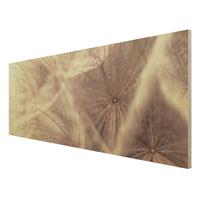 Bilderwelten Holzbild Blumen - Panorama Detailreiche Pusteblumen Makroaufnahme mit Vintage Blur Effekt
