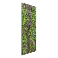 Bilderwelten Holzbild Natur & Landschaft - Hochformat Schmal Efeuranken Baumrinde