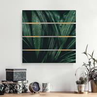 Bilderwelten Holzbild Plankenoptik Blumen - Quadrat GrÃ¼ne PalmenblÃtter