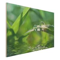 Bilderwelten Holzbild Natur & Landschaft - Querformat 3:2 Green Ambiance II