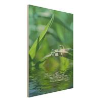 Bilderwelten Holzbild Natur & Landschaft - Hochformat 3:4 Green Ambiance II