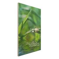 Bilderwelten Holzbild Natur & Landschaft - Hochformat 2:3 Green Ambiance II