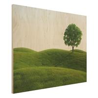 Bilderwelten Holzbild Natur & Landschaft - Querformat 4:3 GrÃ¼ne Ruhe