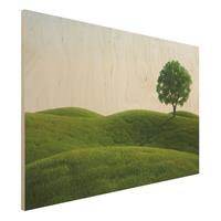 Bilderwelten Holzbild Natur & Landschaft - Querformat 3:2 GrÃ¼ne Ruhe