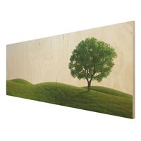 Bilderwelten Holzbild Natur & Landschaft - Panorama GrÃ¼ne Ruhe