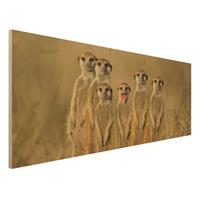 Bilderwelten Holzbild Tiere - Panorama Meerkat Family
