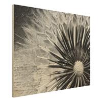 Bilderwelten Holzbild Schwarz-WeiÃŸ - Querformat 4:3 Pusteblume Schwarz & WeiÃŸ