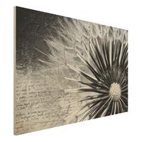Bilderwelten Holzbild Schwarz-WeiÃŸ - Querformat 3:2 Pusteblume Schwarz & WeiÃŸ
