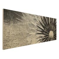 Bilderwelten Holzbild Schwarz-WeiÃŸ - Panorama Pusteblume Schwarz & WeiÃŸ