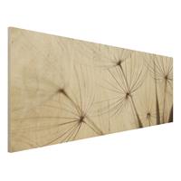 Bilderwelten Holzbild Blumen - Panorama Sanfte GrÃser