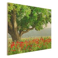 Bilderwelten Holzbild Natur & Landschaft - Querformat 4:3 Sommerwiese