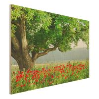 Bilderwelten Holzbild Natur & Landschaft - Querformat 3:2 Sommerwiese