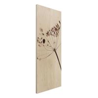 Bilderwelten Holzbild Makroaufnahme Trockenblume im Schatten