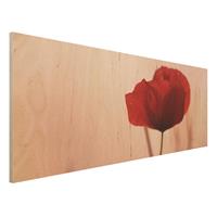 Bilderwelten Holzbild MohnblÃ¼te in der DÃmmerung