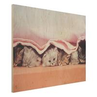 Bilderwelten Holzbild Tiere - Querformat 4:3 Sugar-Sweet