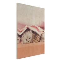 Bilderwelten Holzbild Tiere - Hochformat 3:4 Sugar-Sweet