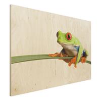 Bilderwelten Holzbild Tiere - Querformat 3:2 Weatherman