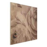 Bilderwelten Holzbild ErrÃ¶tete BlÃ¼te