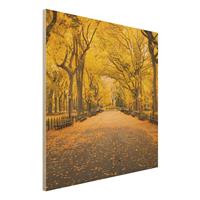 Bilderwelten Holzbild Herbst im Central Park