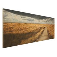 Bilderwelten Holzbild Natur & Landschaft - Panorama Weg in den DÃ¼nen
