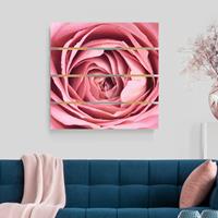 Bilderwelten Holzbild Plankenoptik Blumen - Quadrat Rosa RosenblÃ¼te