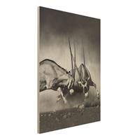 Bilderwelten Holzbild Schwarz-WeiÃŸ - Hochformat 3:4 Wilder Kampf