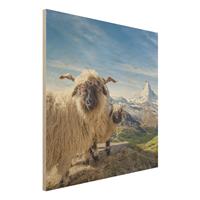 Bilderwelten Holzbild Schwarznasenschafe von Zermatt