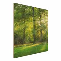 Bilderwelten Holzbild Spaziergang im Wald