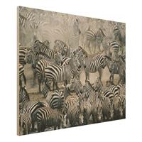 Bilderwelten Holzbild Schwarz-WeiÃŸ - Querformat 4:3 Zebraherde