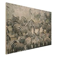 Bilderwelten Holzbild Schwarz-WeiÃŸ - Querformat 3:2 Zebraherde