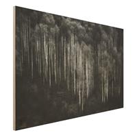 Bilderwelten Holzbild Schwarz-WeiÃŸ - Querformat 3:2 Birkenwald in Aspen