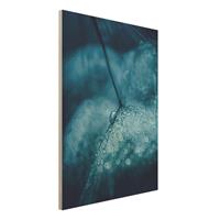 Bilderwelten Holzbild Blumen - Hochformat 3:4 Blaue Pusteblume im Regen