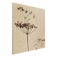 Bilderwelten Holzbild Trockenblume im Schatten