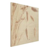 Bilderwelten Holzbild Zartes Glanzgras