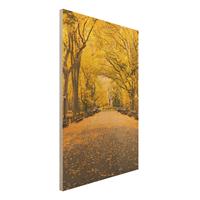 Bilderwelten Holzbild Herbst im Central Park