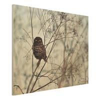 Bilderwelten Holzbild Tiere - Querformat 4:3 Eule im Winter
