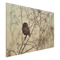 Bilderwelten Holzbild Tiere - Querformat 3:2 Eule im Winter