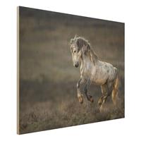 Bilderwelten Holzbild Tiere - Querformat 4:3 Im Galopp durch die Heide