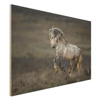 Bilderwelten Holzbild Tiere - Querformat 3:2 Im Galopp durch die Heide