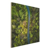Bilderwelten Holzbild Natur & Landschaft - Quadrat Luftbild - AsphaltstraÃŸe im Wald