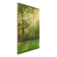Bilderwelten Holzbild Spaziergang im Wald