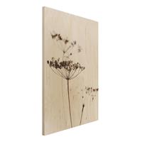 Bilderwelten Holzbild Trockenblume im Schatten