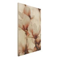 Bilderwelten Holzbild Zarte MagnolienblÃ¼ten im Lichtspiel
