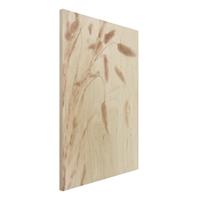 Bilderwelten Holzbild Zartes Glanzgras