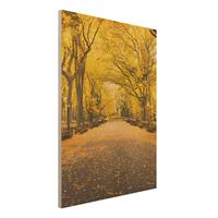 Bilderwelten Holzbild Herbst im Central Park