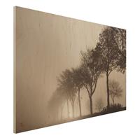 Bilderwelten Holzbild Baumallee im Morgennebel