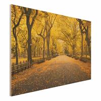 Bilderwelten Holzbild Herbst im Central Park