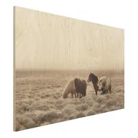 Bilderwelten Holzbild Island Wildpferde